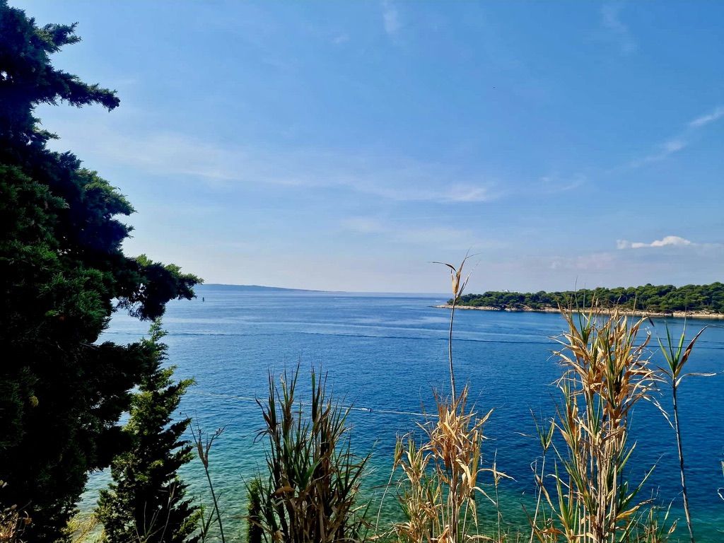 Küste und klares Meer auf Rab